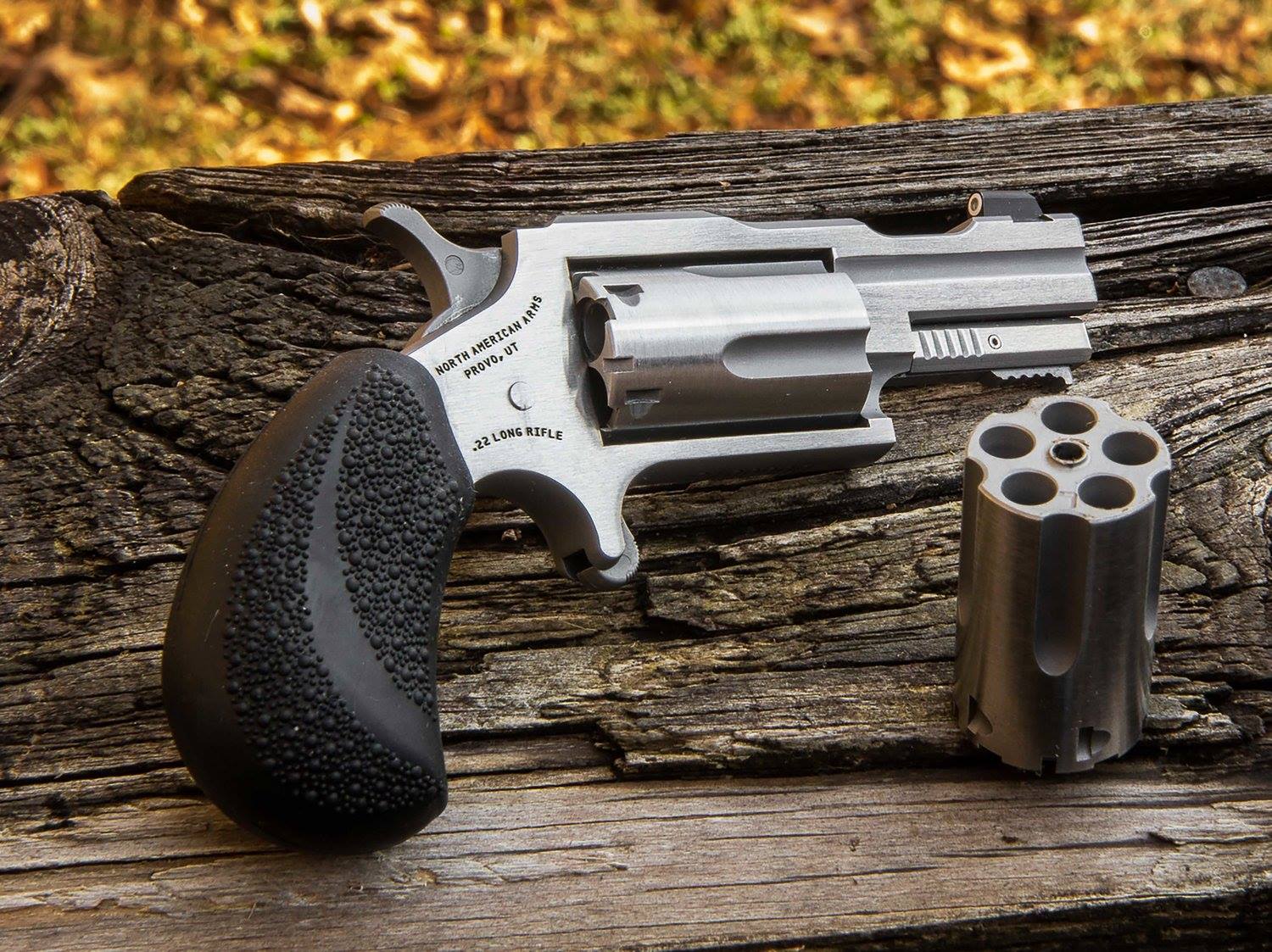 NORTH AMERICAN ARMS 22M/22LR BUGOUT II SS XS SGHT#